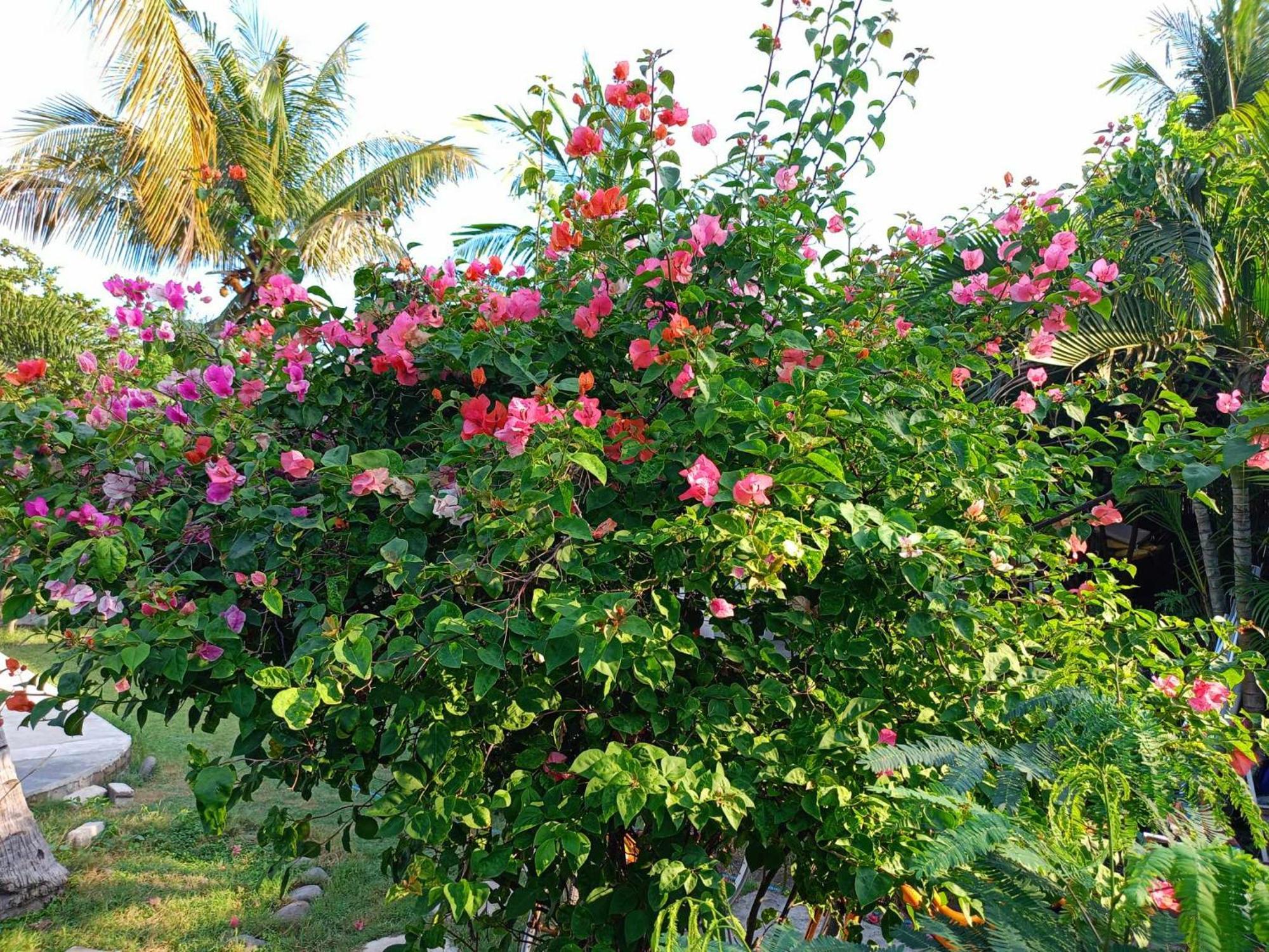 Bintang Tiga Bungalows Gili Air Buitenkant foto